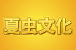 LOGO样机