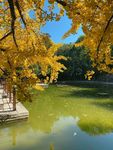 北京香山公园