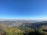 山景