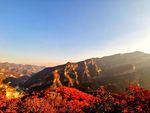 山景