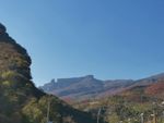 山景
