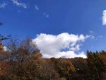 山景