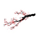 梅花素材