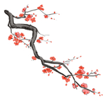 梅花素材