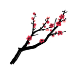 梅花素材