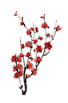 梅花素材