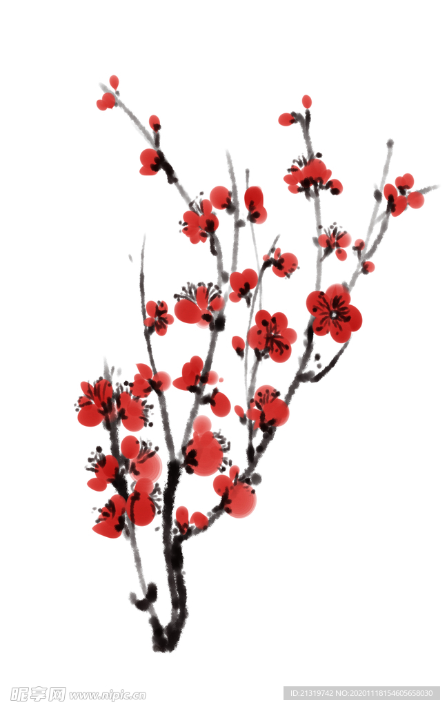 梅花素材