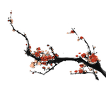 梅花素材