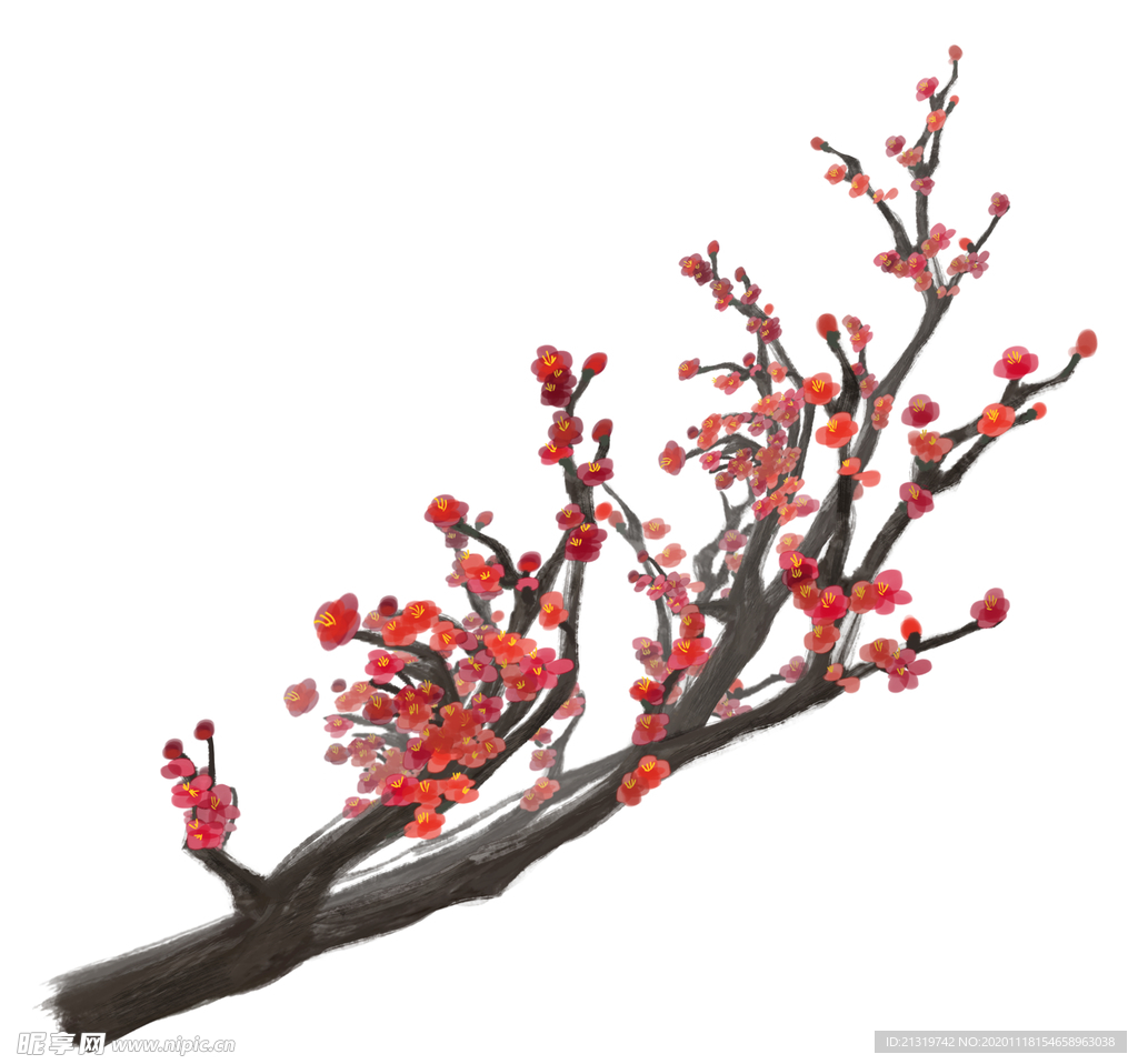 梅花素材