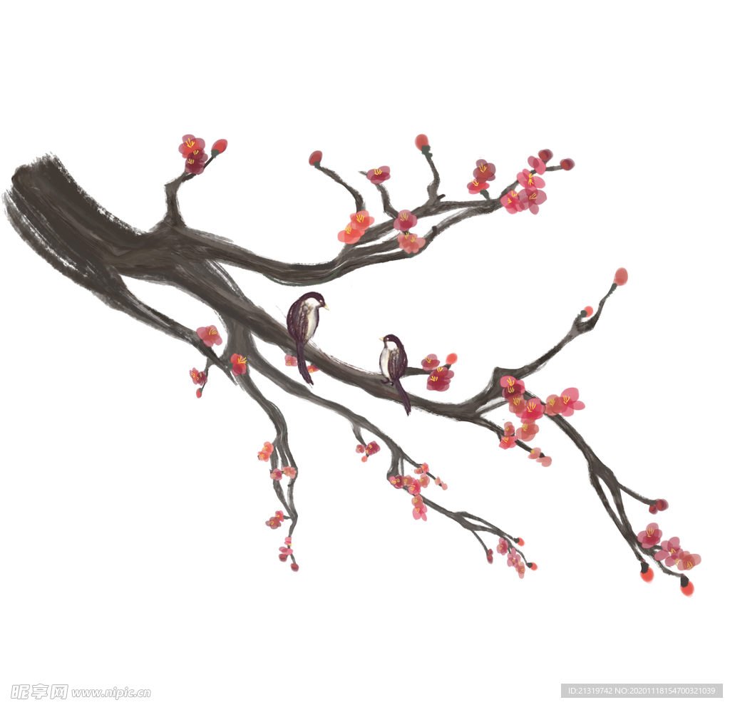 梅花素材