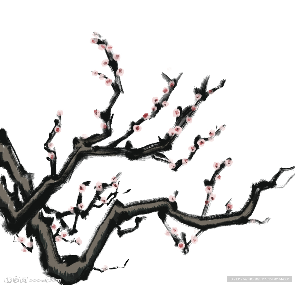 梅花素材
