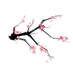 梅花素材