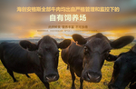 美食