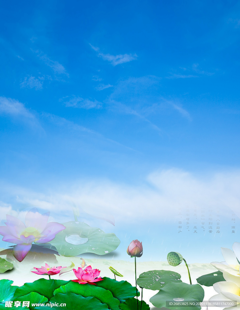 海报背景 展板背景 背景元素