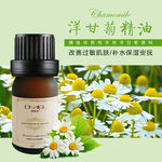 洋甘菊精油