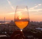 手拿酒杯