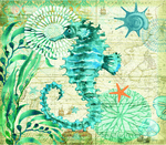 海马