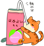 猫喝饮料  猫  T恤