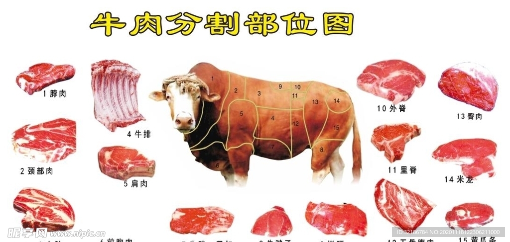 牛肉部位分割图