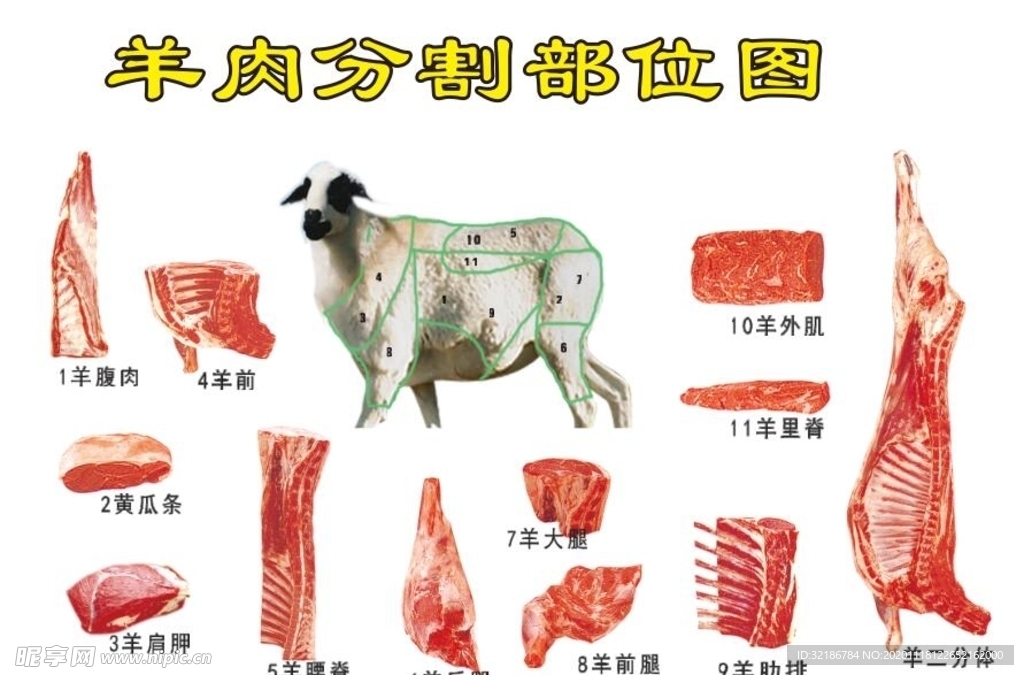 羊肉分割部位图