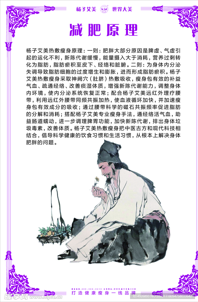 杨子艾美减肥原理