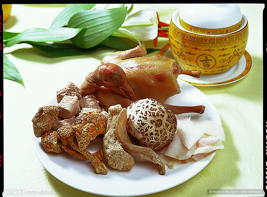 松茸菌海螺炖飞鸽