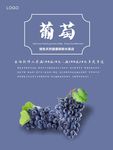 葡萄海报