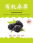 桑葚海报