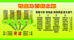 医学版面