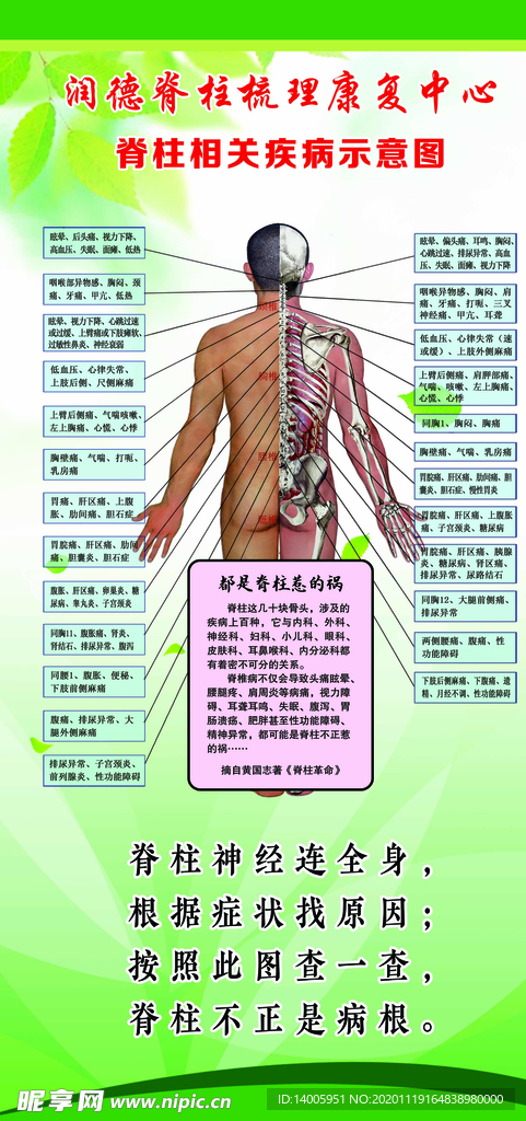 脊柱梳理