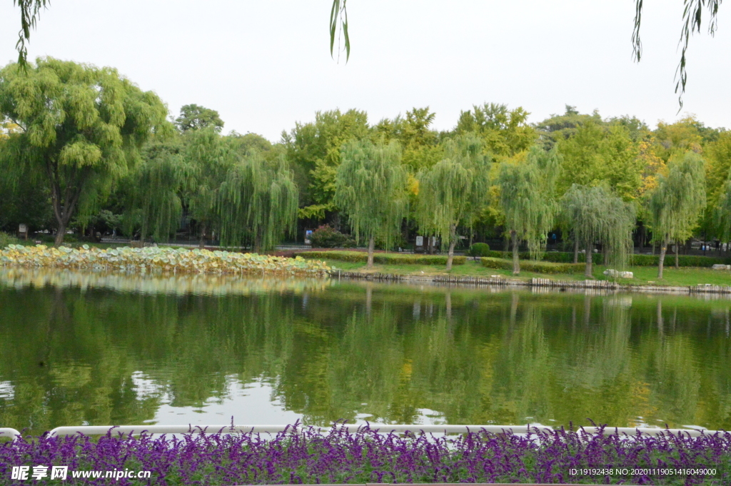 园林风景