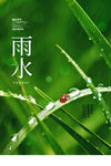 雨水