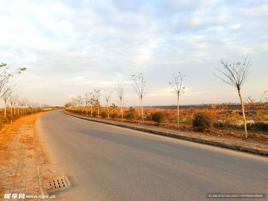 深秋时节的道路风景