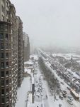 大雪中的哈尔滨