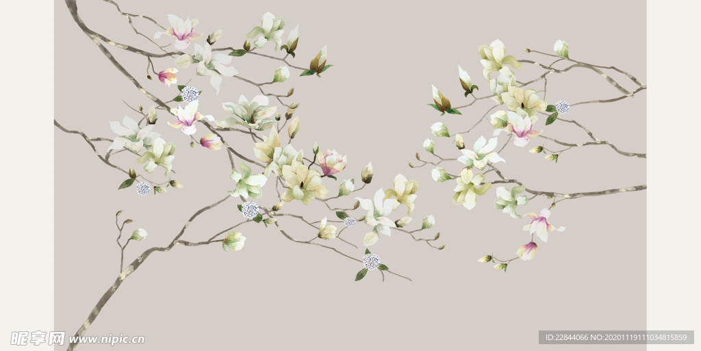 花鸟