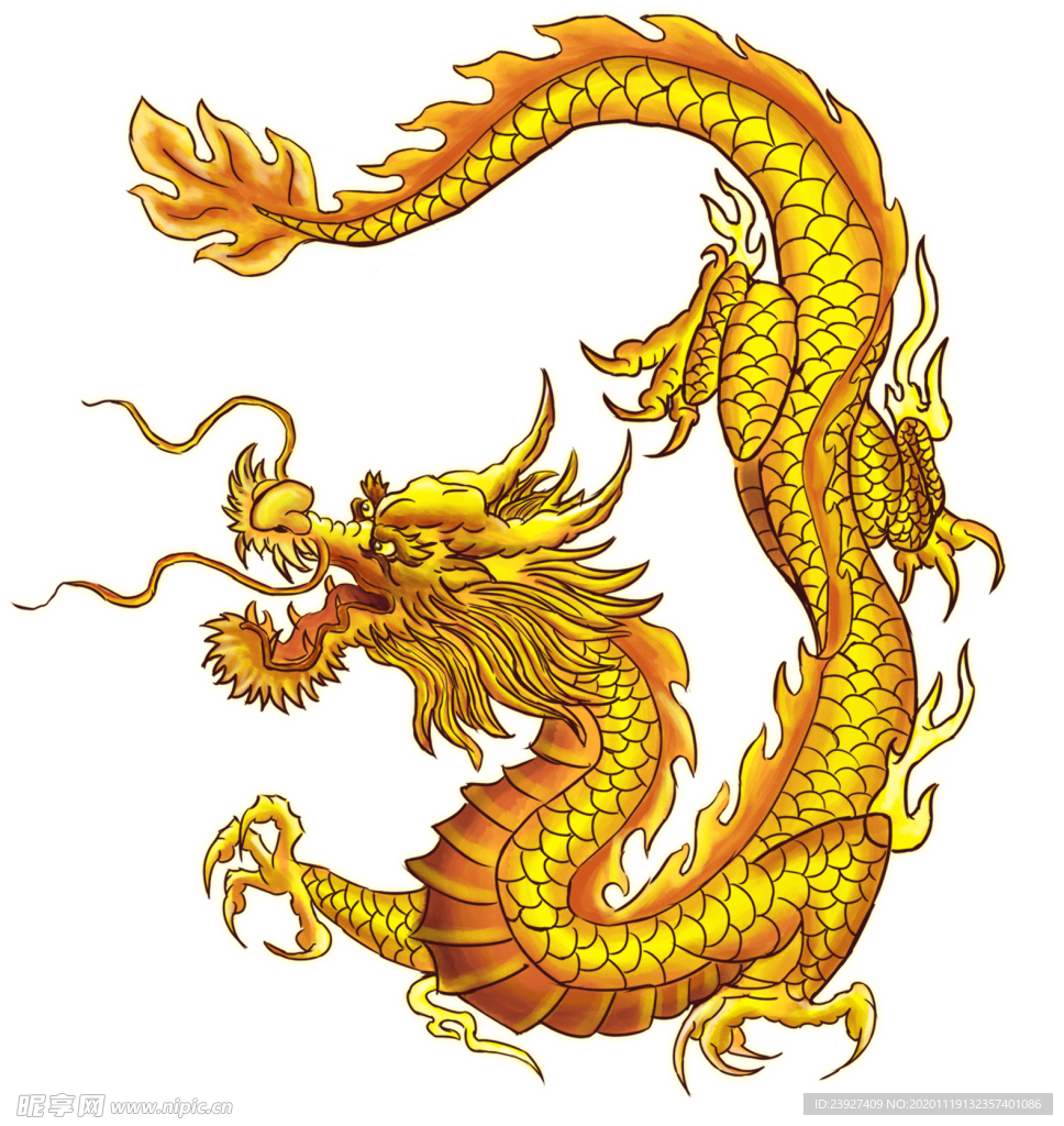 龙凤
