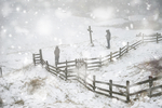 雪