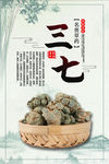 中药三七海报