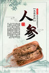 中药人参海报