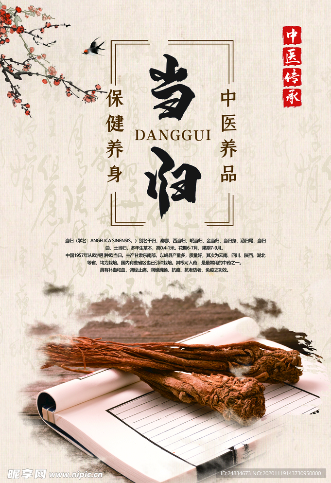 中药当归海报