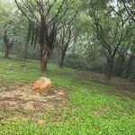 白云山