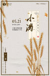 二十四节气 小满