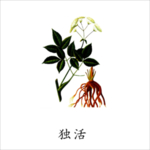 草本植物药材