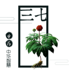 草本植物药材