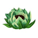 草本植物药材