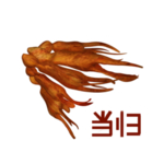 草本植物药材