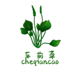 草本植物药材