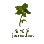 草本植物药材