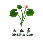 草本植物药材