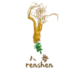 草本植物